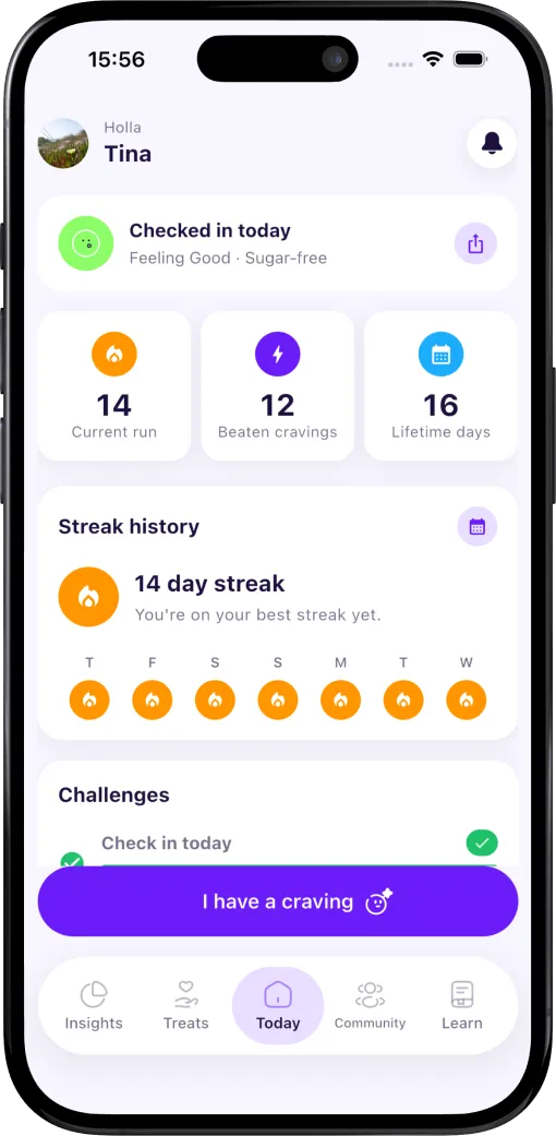 Syro home screen with a daily check-in, a 14 day streak and an I have a craving button